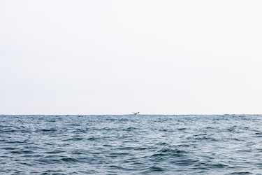 Similar image 22276220