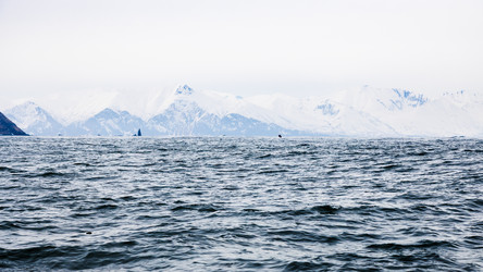 Similar image 22276222