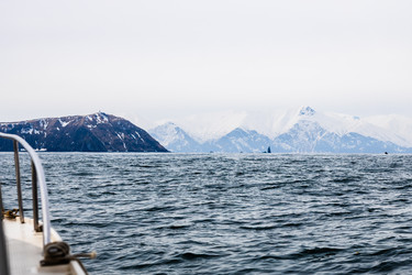 Similar image 22276223