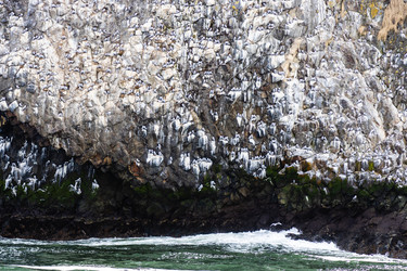 Similar image 22276226