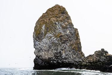 Similar image 22276228