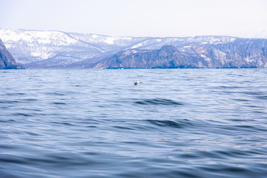 Similar image 22276229