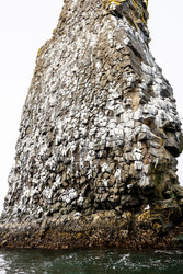 Similar image 22276231