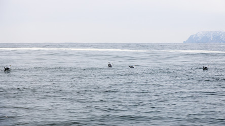 Similar image 22276233