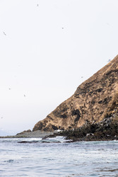 Similar image 22276236