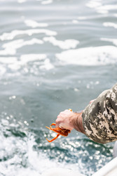 Similar image 22276237