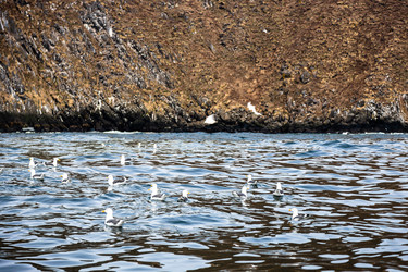 Similar image 22276238