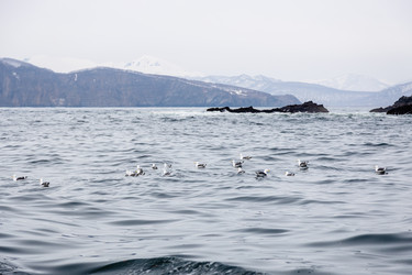 Similar image 22276239