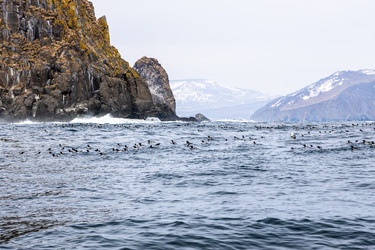 Similar image 22276240