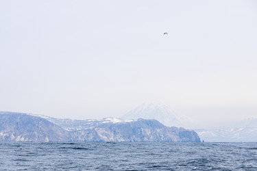 Similar image 22276241