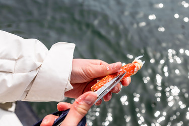 Similar image 22276249