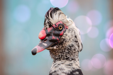 Similar image 22277354