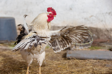 Similar image 22277356