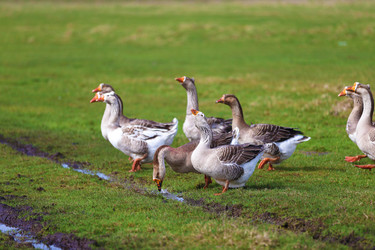 Similar image 22277359