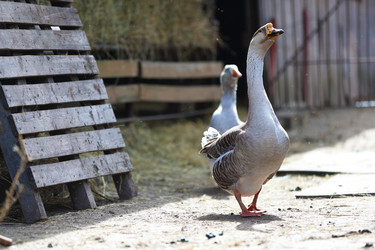 Similar image 22277361