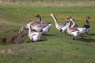 Similar image 22277362