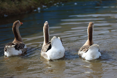 Similar image 22277364