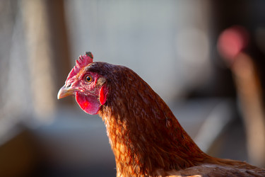 Similar image 22277377