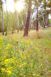 Similar image 22277385