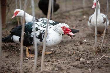 Similar image 22277389