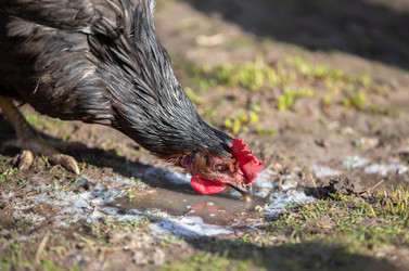 Similar image 22277395