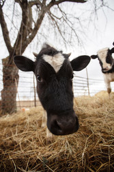 Similar image 22277621