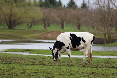 Similar image 22277623