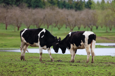 Similar image 22277624