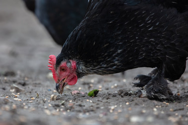 Similar image 22277827