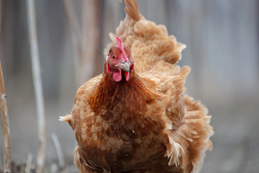 Similar image 22277828