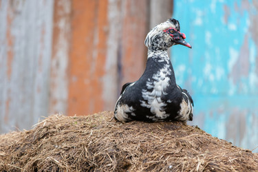 Similar image 22277829