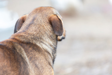 Similar image 22277831