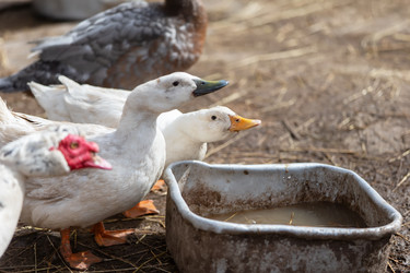 Similar image 22277833