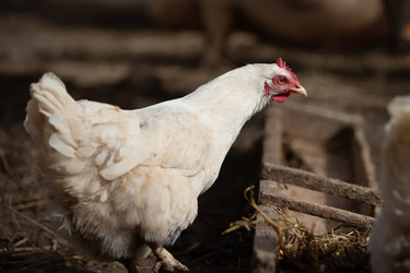 Similar image 22277836