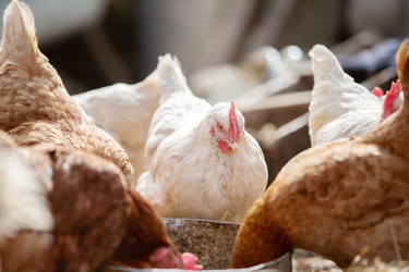 Similar image 22277837