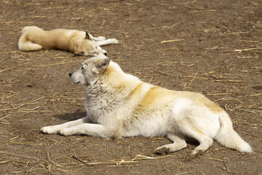 Similar image 22276258