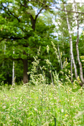 Similar image 22276265