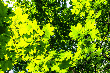 Similar image 22276266