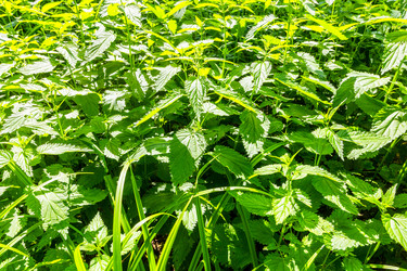 Similar image 22276267