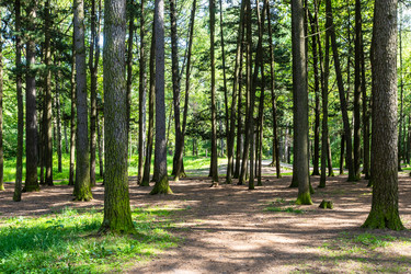 Similar image 22276268