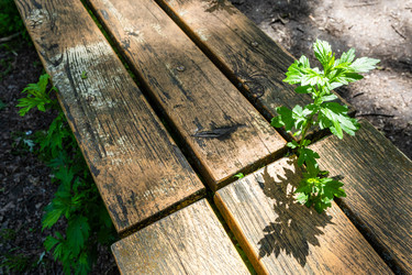 Similar image 22276270