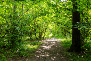 Similar image 22276271