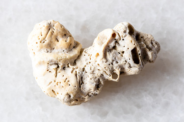 Similar image 22276290