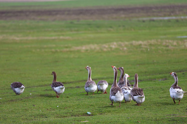 Similar image 22277840