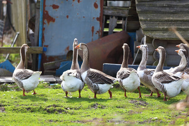 Similar image 22277842