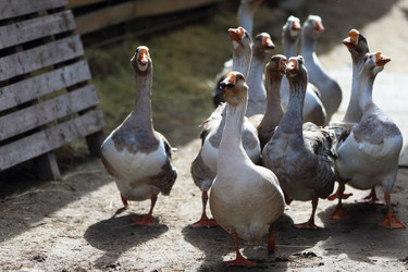 Similar image 22277843