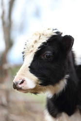 Similar image 22277849