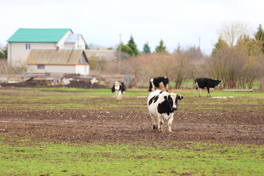 Similar image 22277852