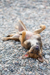 Similar image 22277854