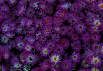 Similar image 22277866